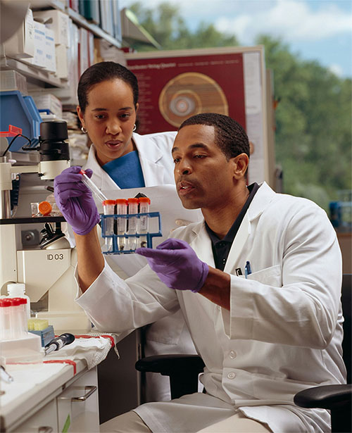 Two technicians working together in a lab setting